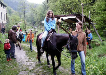 YAM-Festival 2004 - Allerlei
