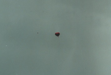 Die Liebe ist frei (Kunstaktion)