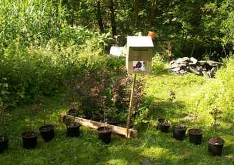 Ausstellung 2012