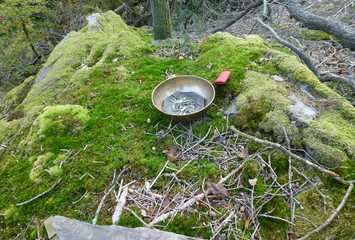 Ritualschale auf der Wildweiberhöhle