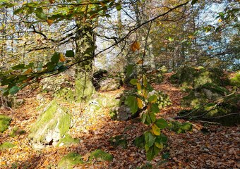 Neubeginn & Fruchtbarkeit                                                                                                                                                                                                                                                                                                                                                                