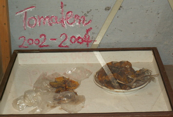 Tomaten 2002-2004 - Engel, Kunst + Kitsch, Installation, Neuwagenmühle 2009
