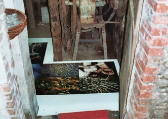YAM-Festival 2004 - Ausstellung