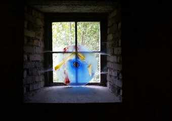 ... denn am Ende der Welt liegt das Paradies - Ausstellungseröffnung 2011