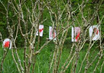 YAM-Festival 2012 - Kunst in Gottes Garten