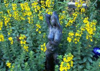 Christoph Pasch 2011