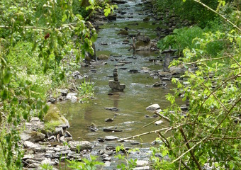 Magie im Jammertal - Belebte Natur