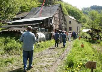 YAM-Festival 2004 - Allerlei