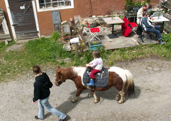 Reitparadies Kesselmühle