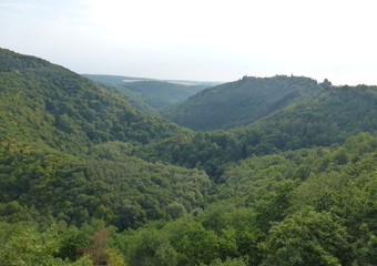 Magie im Jammertal - Belebte Natur