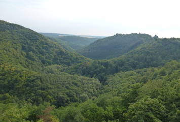 Blick vom Bielstein ins Jammertal