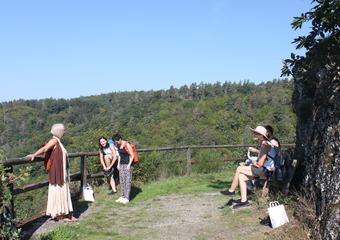 einfach wild - essbare Wildpflanzen