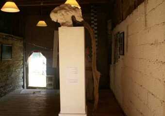 ... denn am Ende der Welt liegt das Paradies - Ausstellungseröffnung 2011