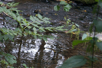 Dörsbach
