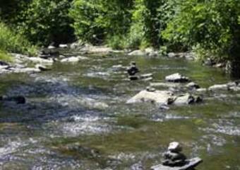 Magie im Jammertal - Belebte Natur