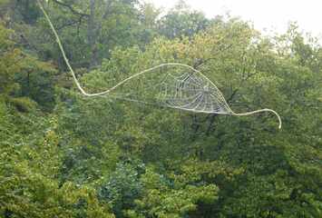 Galerie 'Magie im Jammertal - Belebte Natur'