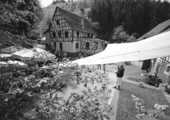 YAM-Festival 2004 - Allerlei