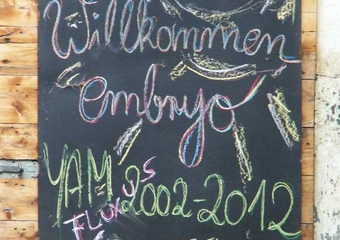 Embryo 2012