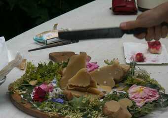 Warum reitet die Göttin Europa einen weißen Stier? - Mythos Europa - Urbild der Frau in Kunst und Mythologie  2013