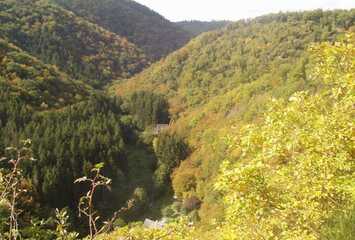 Waldbaden