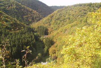 Winkelei mit Blick ins Jammertal