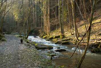 Dörsbach im Jammertal