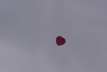 4-Die Liebe ist frei - Frei - Kurpark Bad Ems, 2007