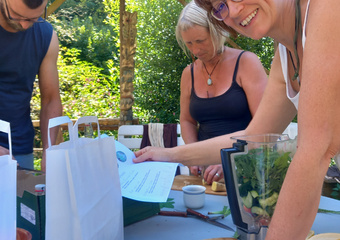 Workshop essbare Wildpflanzen - einfach wild