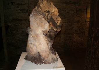 Peter Vater