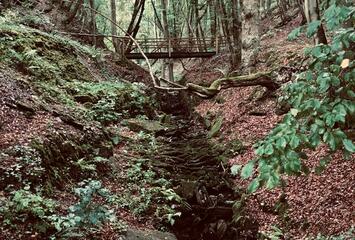 Hilgertgraben = Heiliger-Garten-Graben, dort steht die Neuwagenmühle