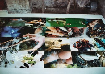 YAM-Festival 2004 - Ausstellung