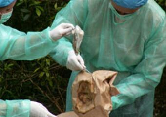 Alltags-Welt-Meister-er