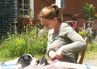 Warum reitet die Göttin Europa einen weißen Stier? - Mythos Europa - Urbild der Frau in Kunst und Mythologie  2013