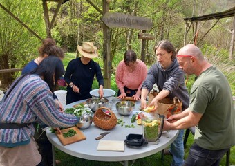Workshop essbare Wildpflanzen - einfach wild