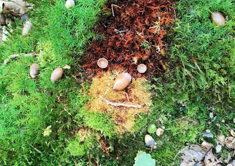 Phantastische Wanderung ins Land des kleinen Volkes