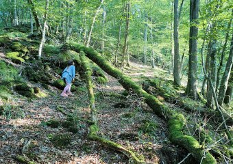 Waldbaden mit Kind