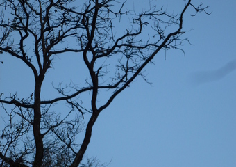 Erdheilende + liebende Kraft stärken