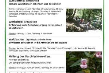 Jahresüberblick 2024