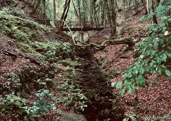Waldbaden