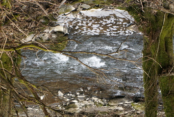 Dörsbach im Frühjahr