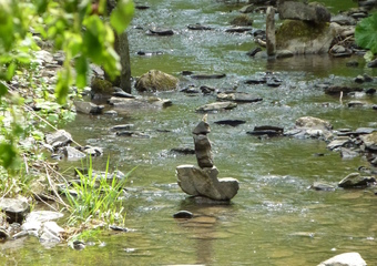 Magie im Jammertal - Belebte Natur