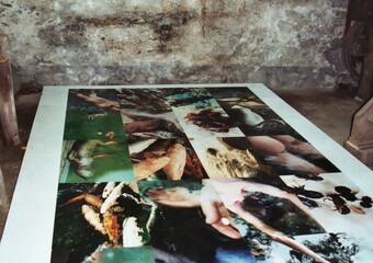 YAM-Festival 2004 - Ausstellung