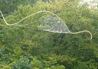 Magie im Jammertal - Belebte Natur